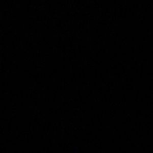 Meet your Posher, Diego